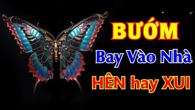 bướm bay vào nhà có sao không 2