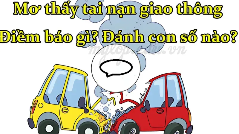 gặp tai nạn đánh con gì 1