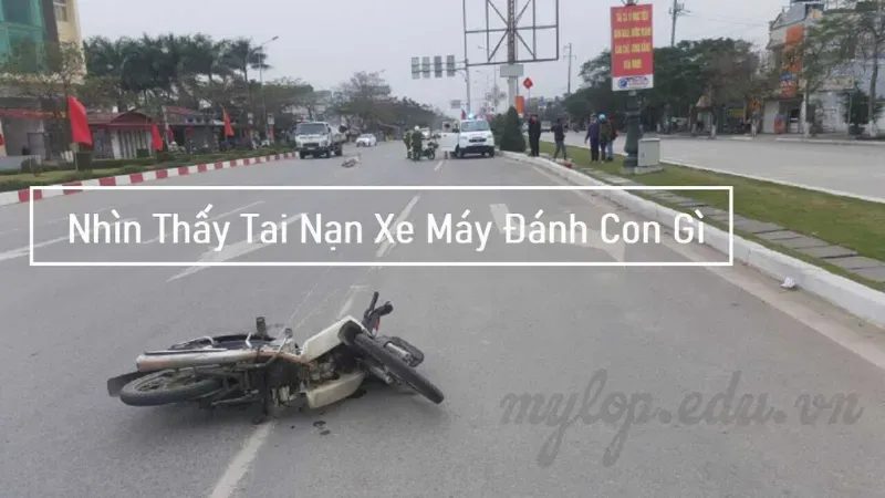 gặp tai nạn đánh con gì 5