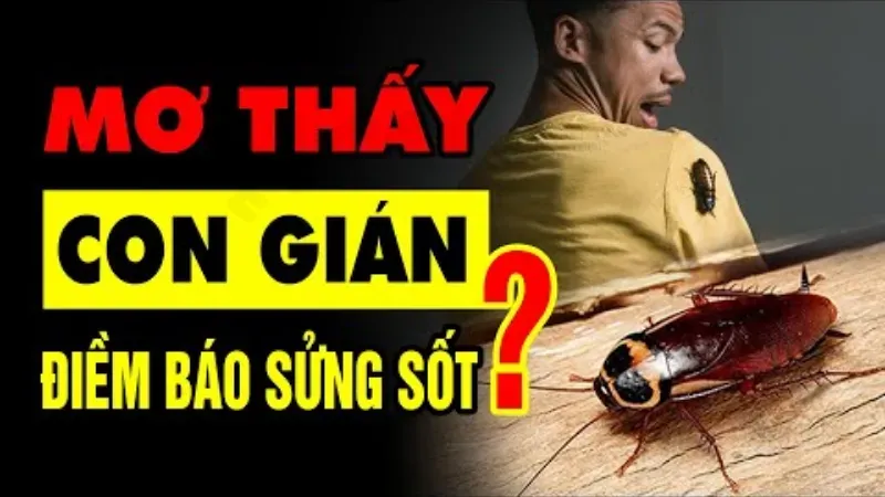 gián bò lên người có điềm gì 4