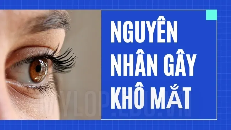 Bí quyết chữa khô mắt tại nhà - Khô mắt nên làm gì để giảm đau rát? 5