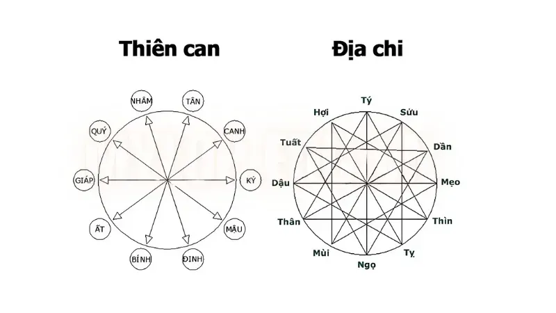 Làm sao để biết mình mệnh gì - Cách chọn màu sắc phong thủy hợp mệnh? 1