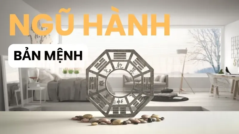 Làm sao để biết mình mệnh gì - Cách chọn màu sắc phong thủy hợp mệnh? 5