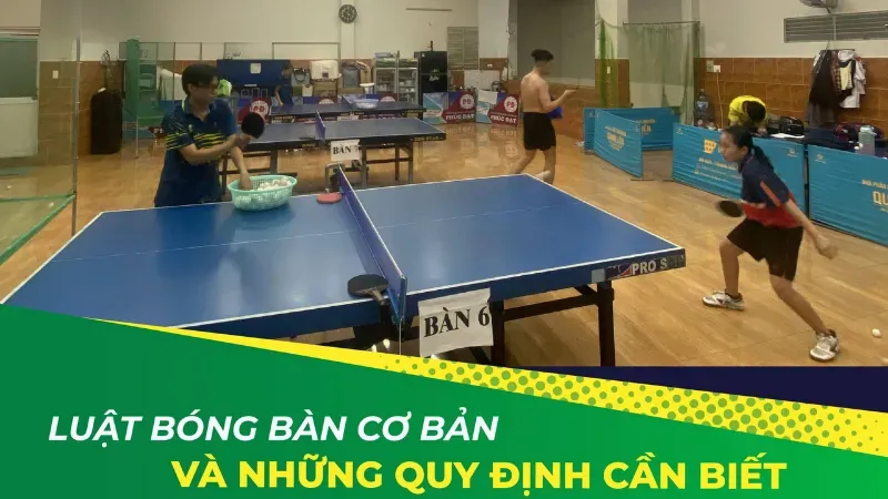 luật chơi bóng bàn 8