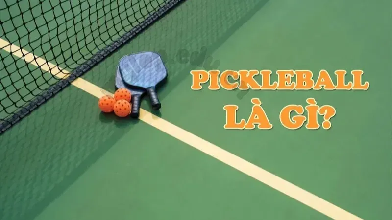 luật chơi pickleball 1