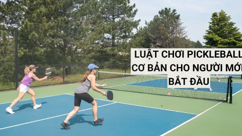 luật chơi pickleball 8