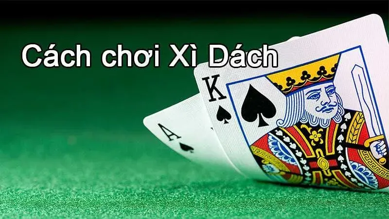 luật chơi xì dách 4