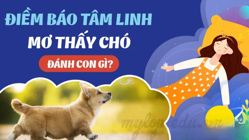 Mơ thấy chó đánh số mấy 1