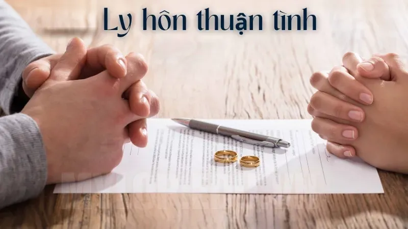 Muốn ly hôn phải làm như thế nào? Hướng dẫn chi tiết từ A đến Z 4