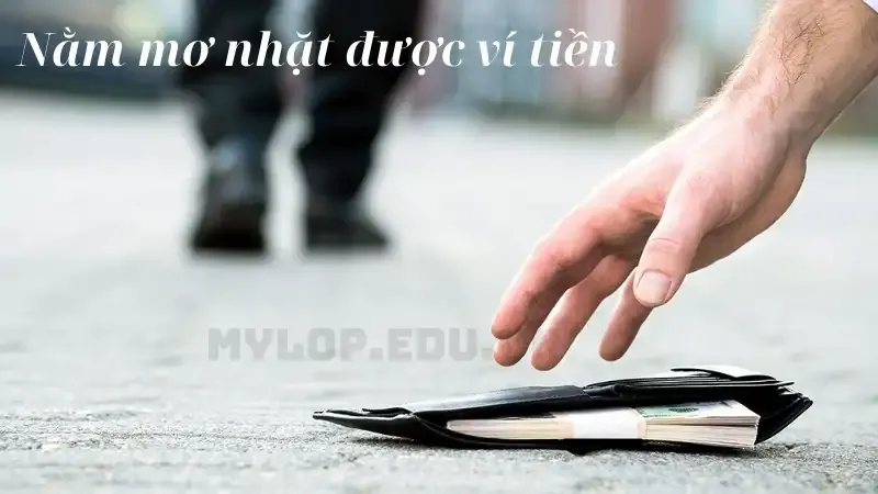 Nằm mơ nhặt được ví tiền là điềm báo may mắn hay xui xẻo?