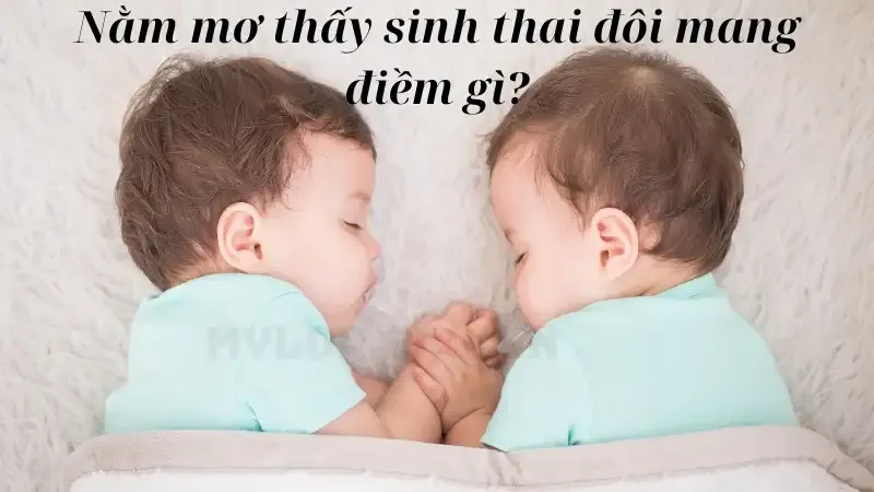 Nằm mơ thấy sinh thai đôi mang điềm gì?