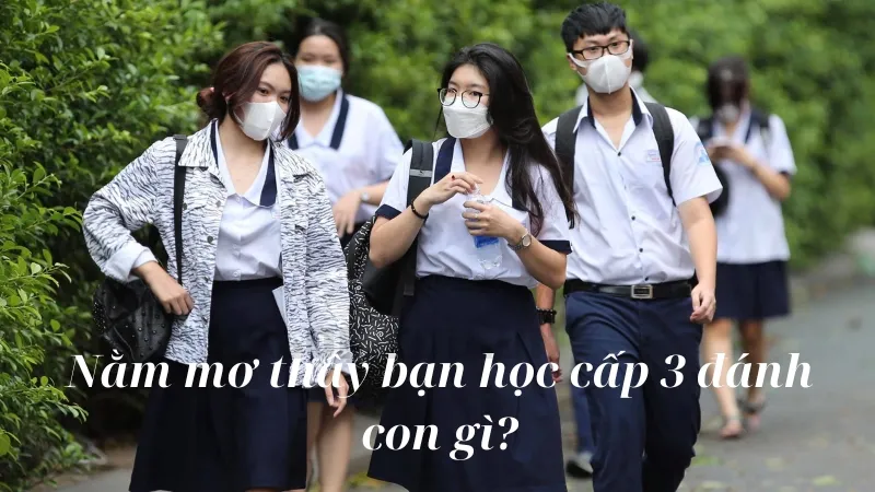 Nằm mơ thấy bạn học cấp 3 đánh con gì?