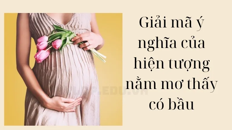 nằm mơ thấy có bầu 2