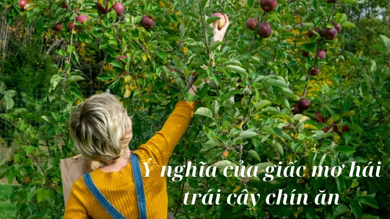 Ý nghĩa của giấc mơ hái trái cây chín ăn