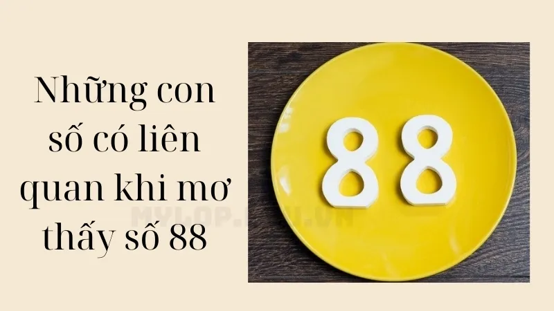 nằm mơ thấy số 88 đánh con gì 4