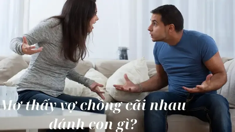 Mơ thấy vợ chồng cãi nhau đánh con gì?