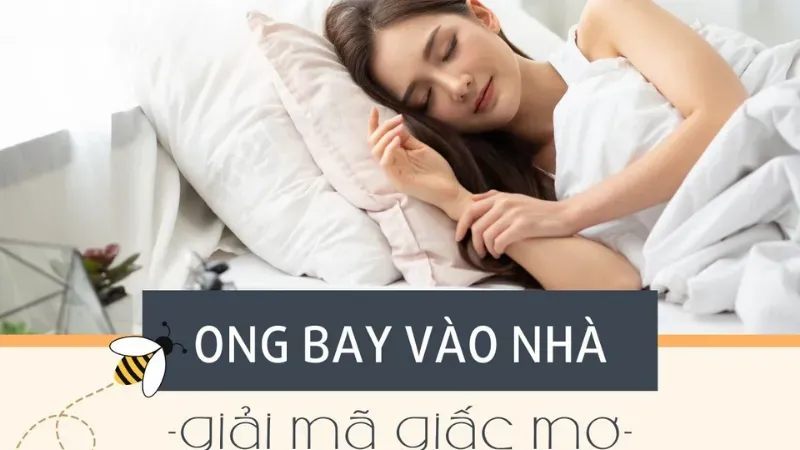 ong bay vào nhà có điềm gì 7