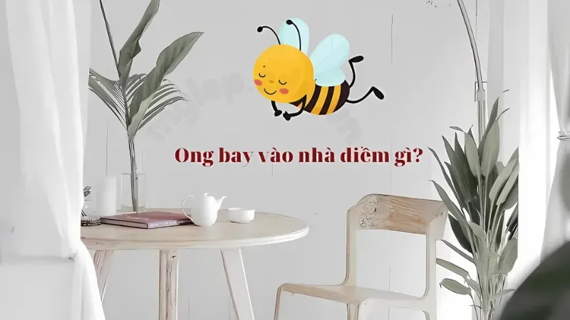 ong bay vào nhà có điềm gì 3