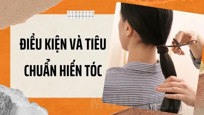 Quy định về chiều dài và tình trạng tóc khi hiến tóc cho từ thiện 4