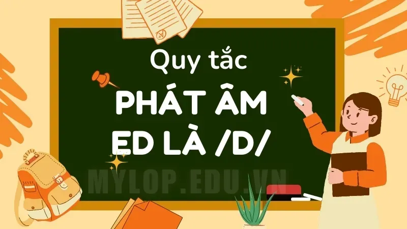 Quy tắc thêm đuôi ed - 5 lỗi sai phổ biến khi thêm đuôi ed 3