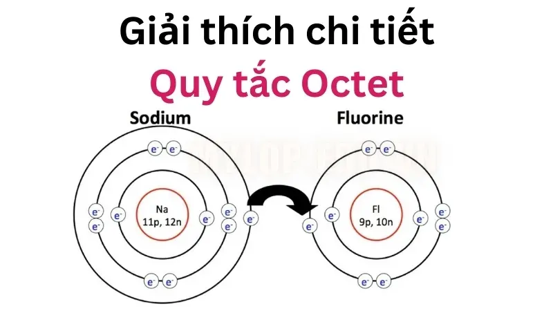 Tất tần tật về quy tắc octet - Cách ứng dụng và những ngoại lệ 3