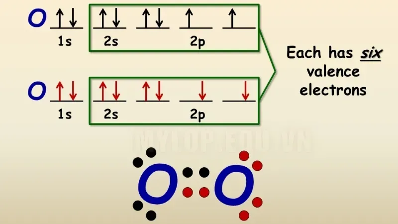 Tất tần tật về quy tắc octet - Cách ứng dụng và những ngoại lệ 1