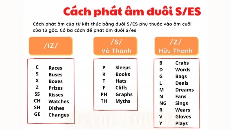 Quy tắc phát âm s/es - Mẹo ghi nhớ để phát âm chuẩn 6