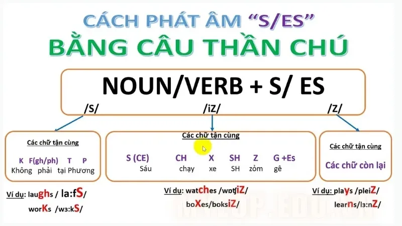 Quy tắc phát âm s/es - Mẹo ghi nhớ để phát âm chuẩn 5