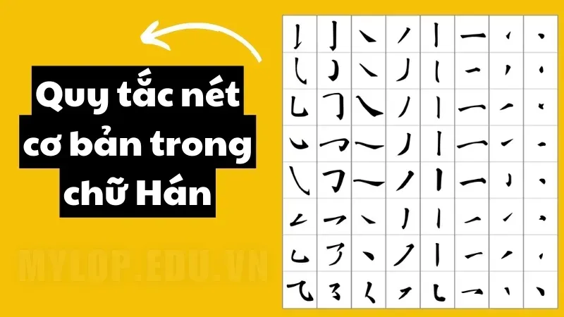 Hướng dẫn chi tiết về quy tắc viết chữ Hán cho người mới học 5