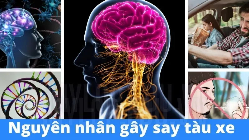 Say tàu xe liên tục - Bí quyết hết say xe nhanh nhất 7