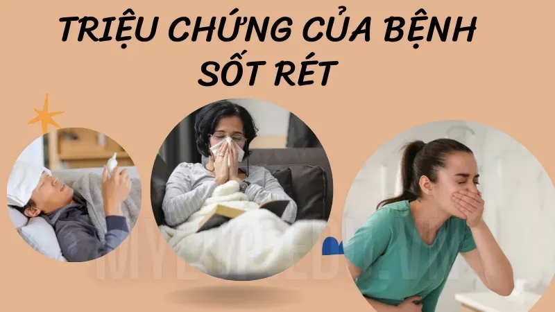 Bị sốt rét phải làm sao? Hướng dẫn xử lý hiệu quả tại nhà 6