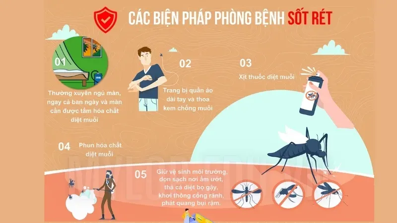 Bị sốt rét phải làm sao? Hướng dẫn xử lý hiệu quả tại nhà 3