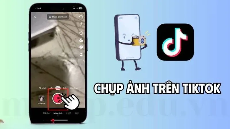 tải ảnh tiktok 3