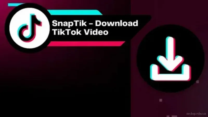 tải video tiktok không logo 1