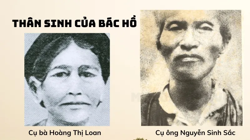 tiểu sử bác hồ 2