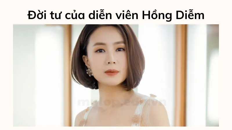 tiểu sử diễn viên hồng diễm 7