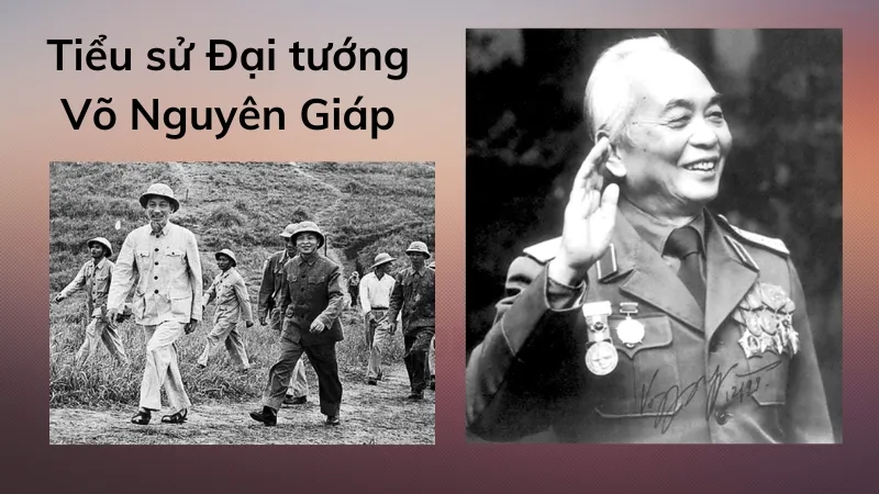 tiểu sử võ nguyên giáp 1