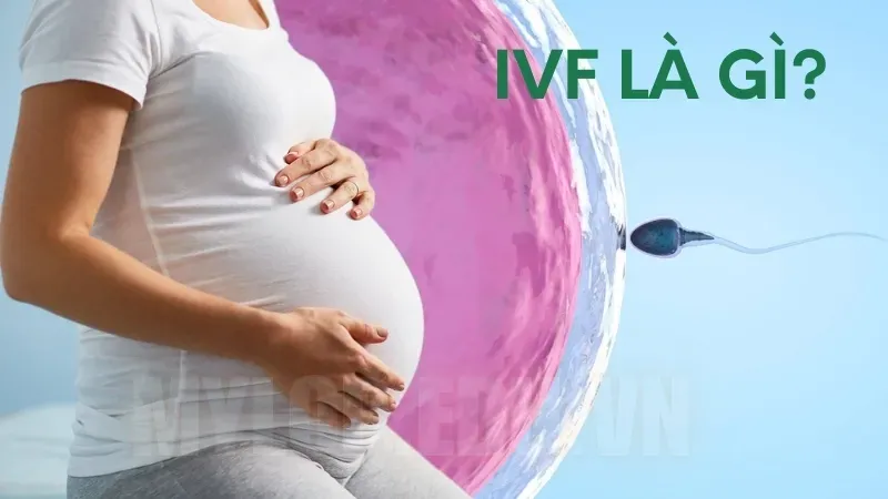 Cần chuẩn bị gì trước khi làm IVF? Bí quyết giúp tăng tỷ lệ thành công 4