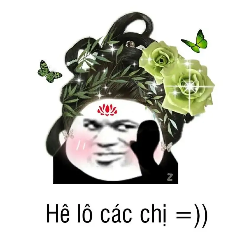 Meme mèo hài bựa thật thú vị và độc đáo