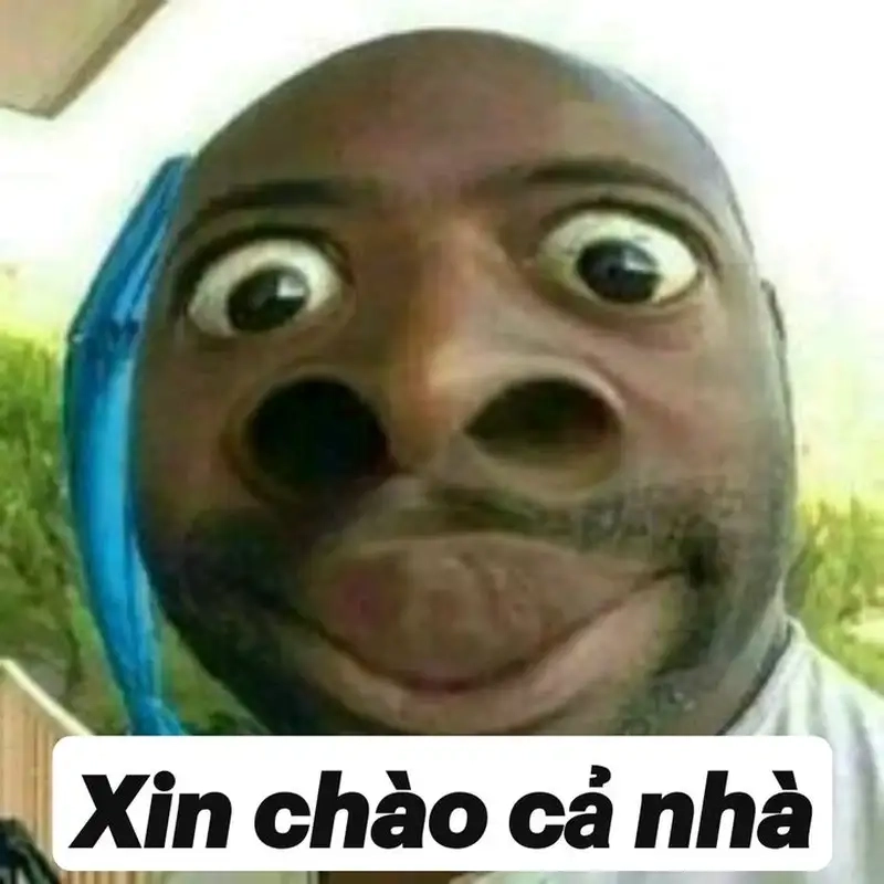 Cười nhếch mép ảnh chế meme mèo bựa thật đáng yêu