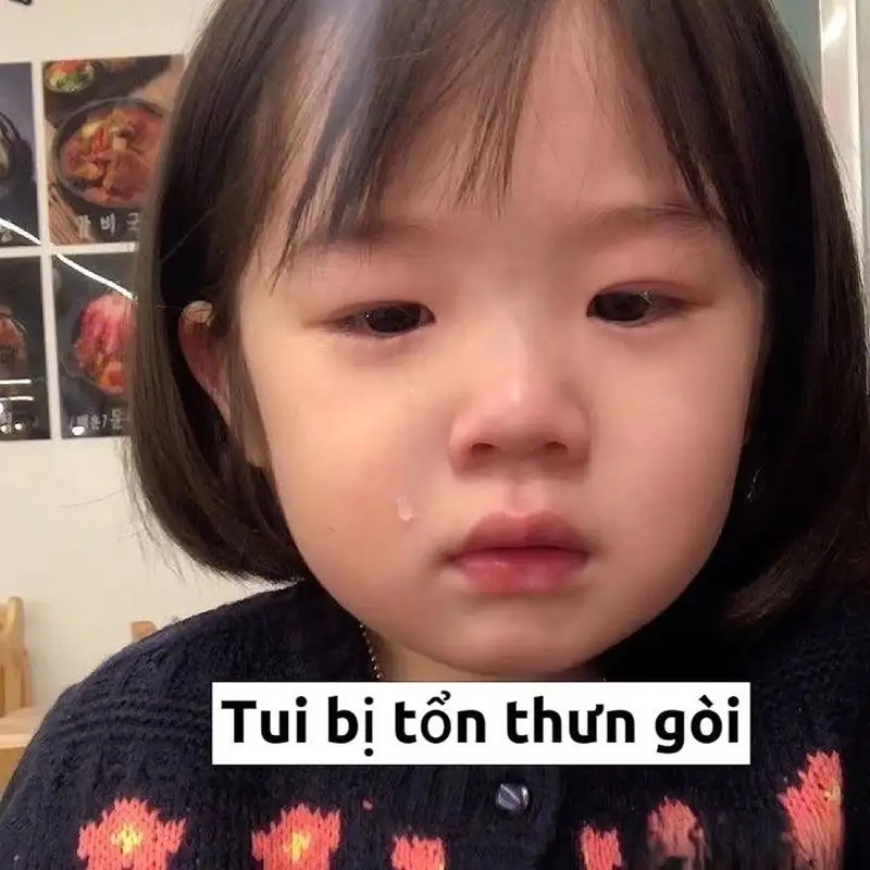 Cute ảnh chế meme mèo bựa khiến bạn không thể nhịn cười