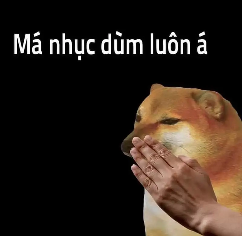 Meme hài bựa Cheems độc đáo và thú vị