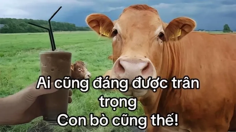 Ảnh động vật meme tạo nên sự dễ thương và vui nhộn