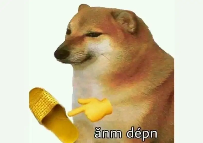 Dog meme PNG dễ thương cho những ai yêu thích meme