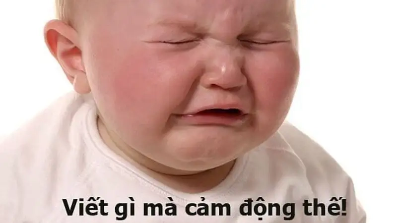 Meme chúc ngủ ngon cute mang lại cảm giác ấm áp và dễ thương