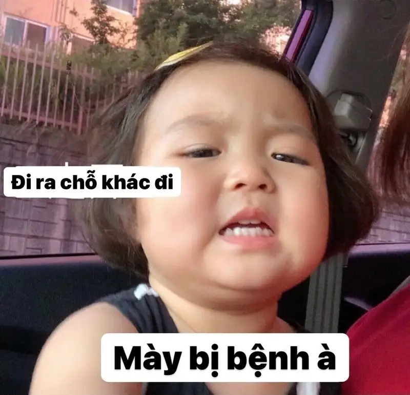 Cute meme hài mang lại tiếng cười và sự vui vẻ cho mọi người