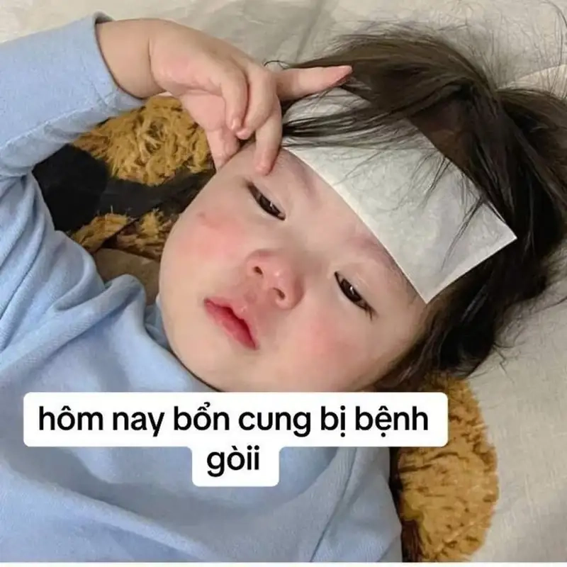 Buồn meme mèo khóc khiến bạn cảm thấy đồng cảm