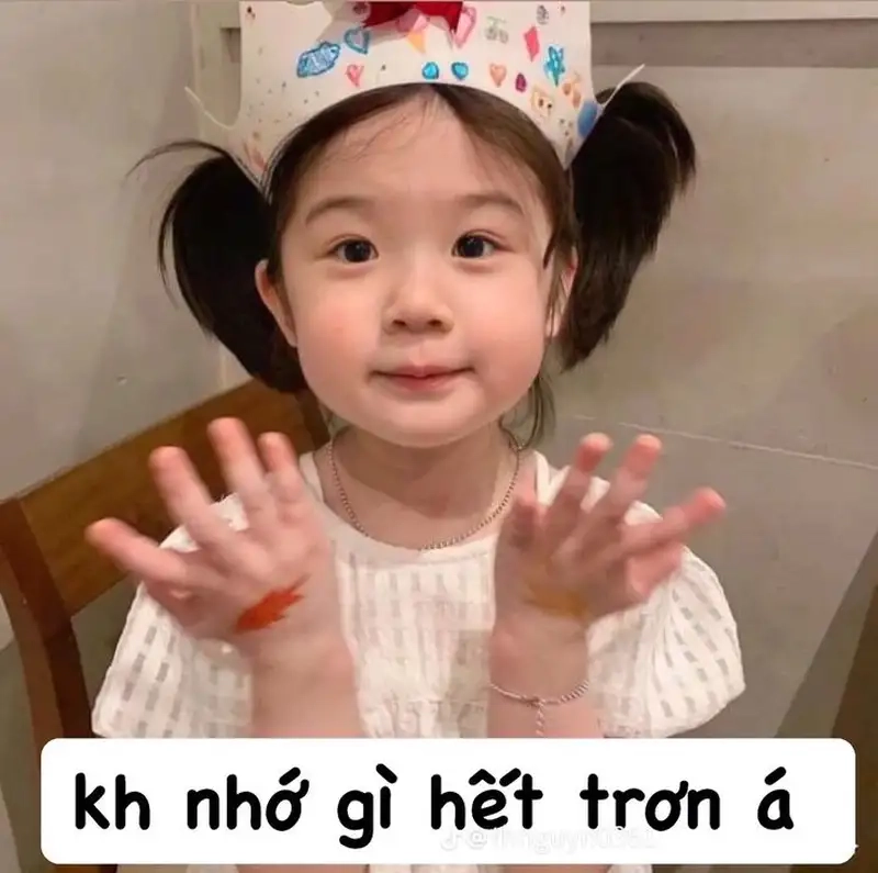 Meme mèo khóc bựa mang lại tiếng cười sảng khoái