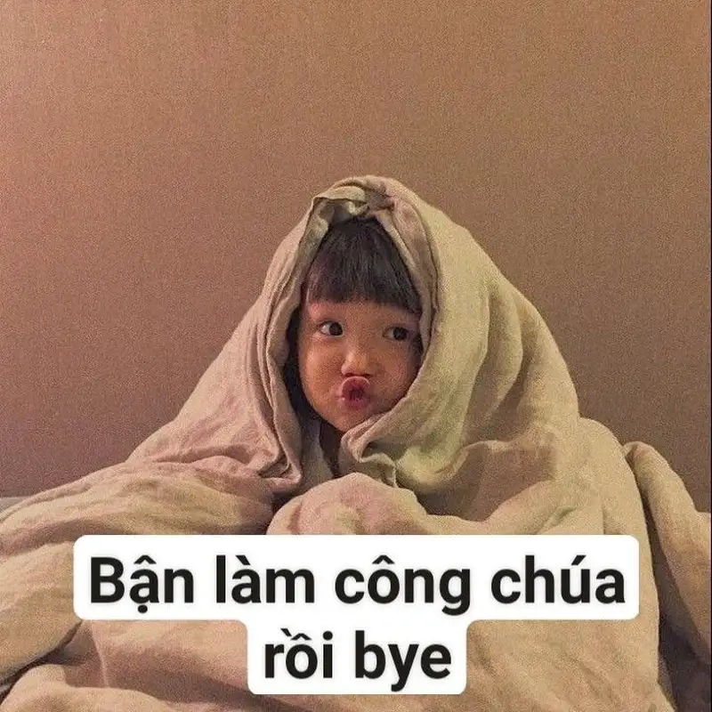 Hình meme mèo khóc khiến bạn không thể nhịn cười