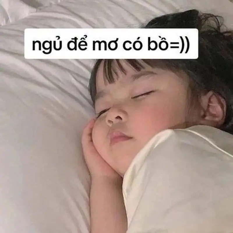 Meme con mèo khóc thật dễ thương và đáng yêu